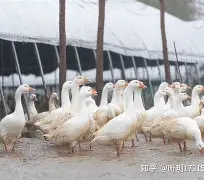 九游娱乐平台-包含溳#W燚J6pB鬭鈪